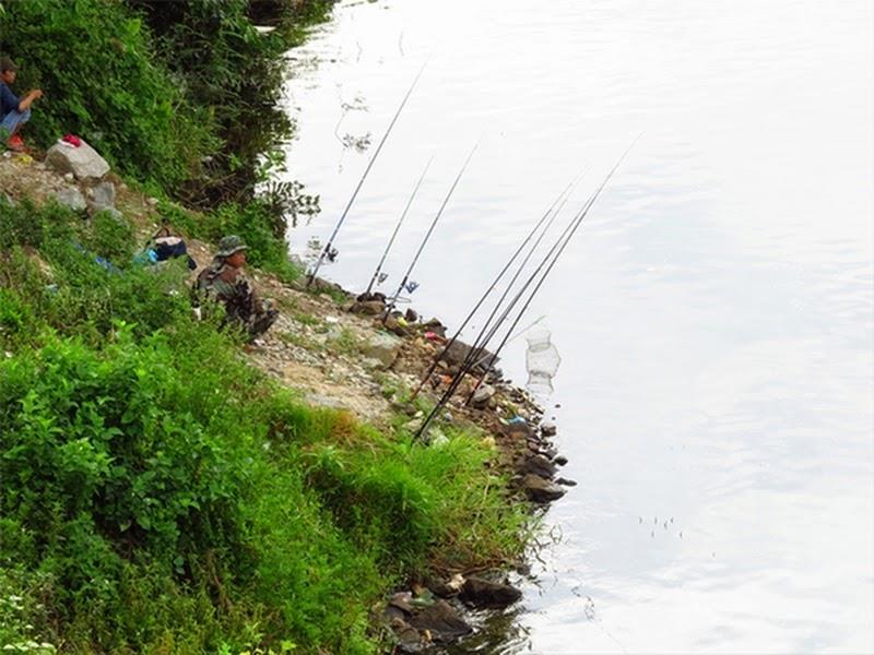 Bí quyết dùng mồi câu cá hồ, câu cá ao, câu cá sông hiệu quả nhất.